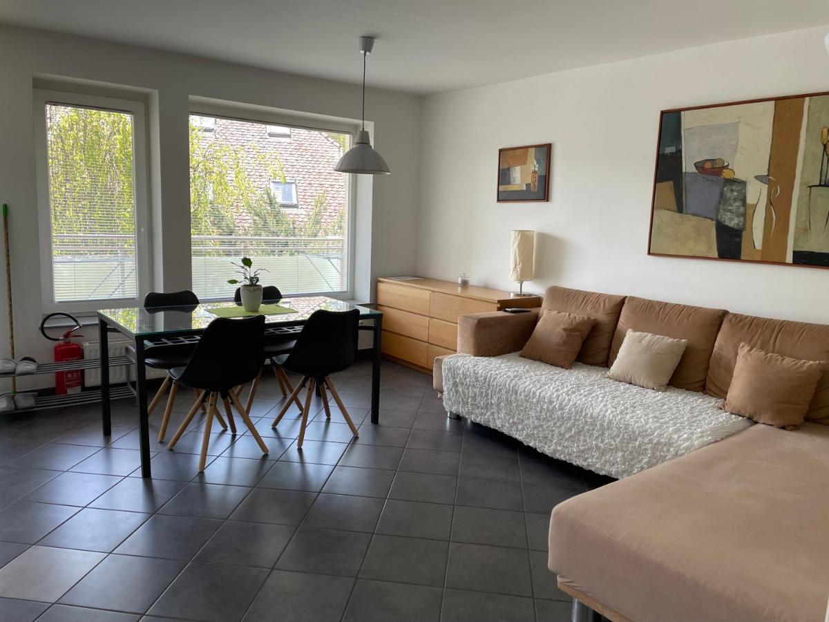 Rose In Winter Apartment