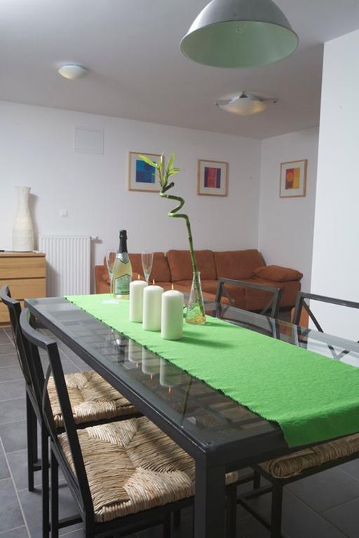 Apartment Rose In Winter *