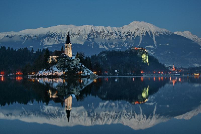 Rose In Winter * Bled