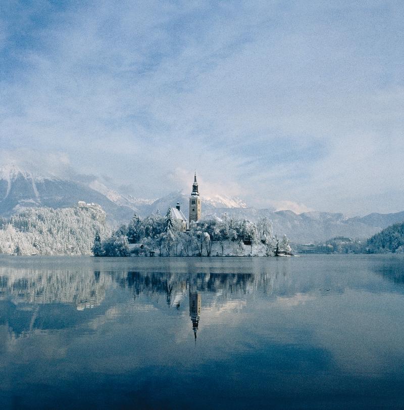 Apartment Rose In Winter Bled